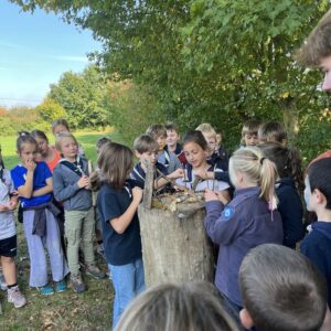 54826657851_49983baf6a_c