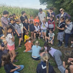 54826996545_2652cdfd4f_c