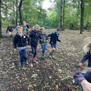 54845836735_2cb054c8f6_c