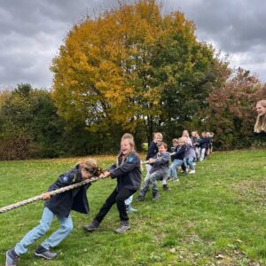 54867295636_c047bb88ca_c